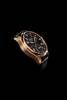 Alpina aviation in 18K Rose Gold