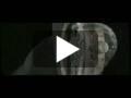 Bulgari video