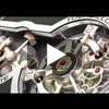 DeWitt video