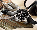 Luxury watch exchange