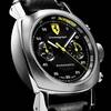 Panerai Watches Collection