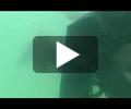 Sinn video