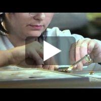 CASING UP A ROYAL OAK