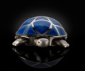 Tortoise Automaton