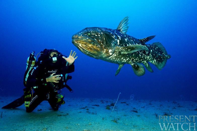 Coelacanth